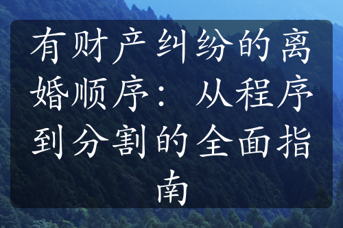 有财产纠纷的离婚顺序：从程序到分割的全面指南