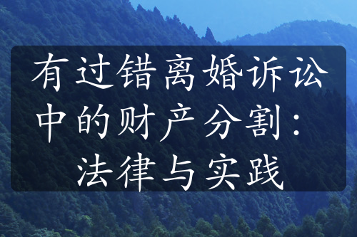 有过错离婚诉讼中的财产分割：法律与实践