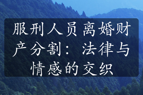 服刑人员离婚财产分割：法律与情感的交织