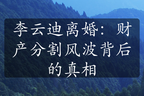 李云迪离婚：财产分割风波背后的真相