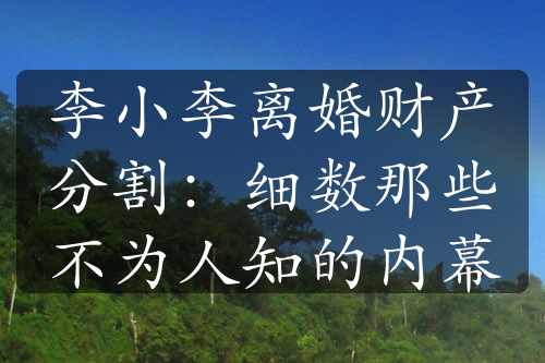 李小李离婚财产分割：细数那些不为人知的内幕