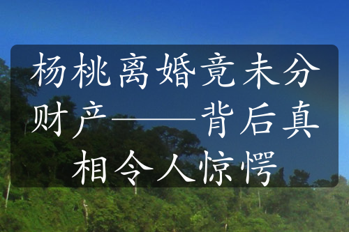 杨桃离婚竟未分财产——背后真相令人惊愕