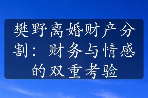 樊野离婚财产分割：财务与情感的双重考验