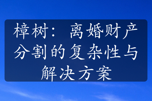 樟树：离婚财产分割的复杂性与解决方案