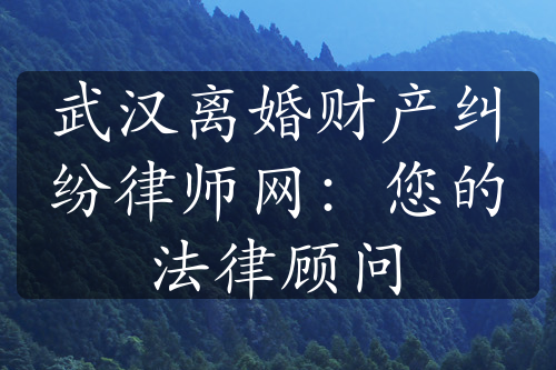 武汉离婚财产纠纷律师网：您的法律顾问