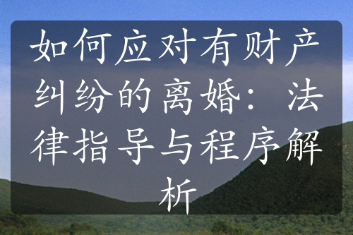 如何应对有财产纠纷的离婚：法律指导与程序解析