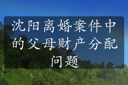 沈阳离婚案件中的父母财产分配问题