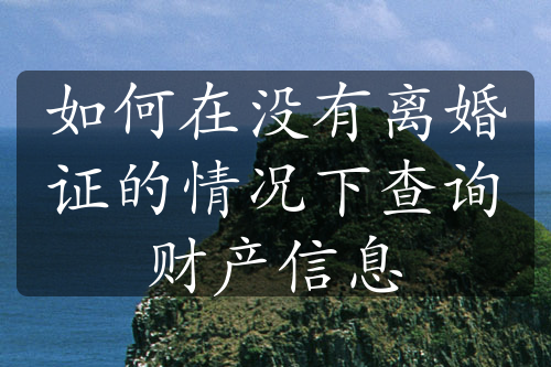 如何在没有离婚证的情况下查询财产信息