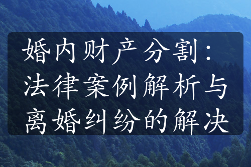 婚内财产分割：法律案例解析与离婚纠纷的解决