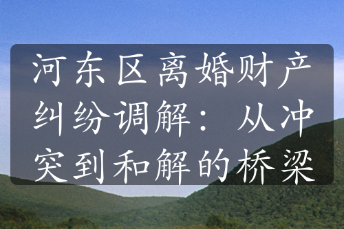 河东区离婚财产纠纷调解：从冲突到和解的桥梁