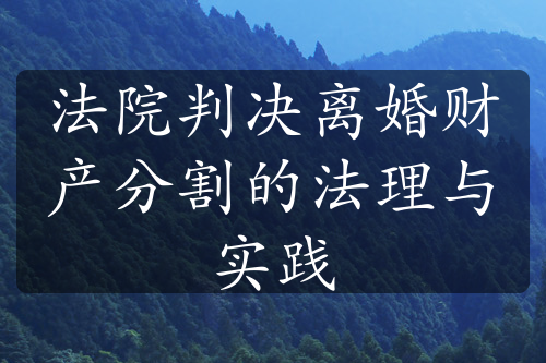 法院判决离婚财产分割的法理与实践