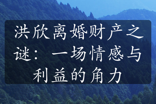 洪欣离婚财产之谜：一场情感与利益的角力