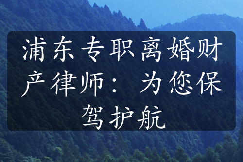 浦东专职离婚财产律师：为您保驾护航