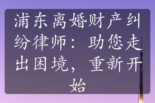 浦东离婚财产纠纷律师：助您走出困境，重新开始