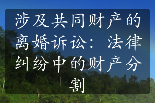 涉及共同财产的离婚诉讼：法律纠纷中的财产分割