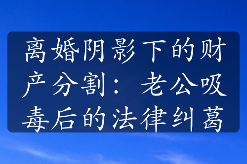 离婚阴影下的财产分割：老公吸毒后的法律纠葛