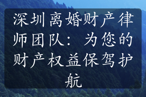 深圳离婚财产律师团队：为您的财产权益保驾护航