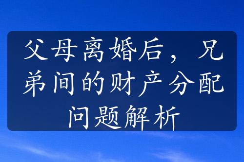 父母离婚后，兄弟间的财产分配问题解析