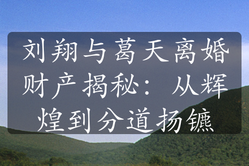 刘翔与葛天离婚财产揭秘：从辉煌到分道扬镳