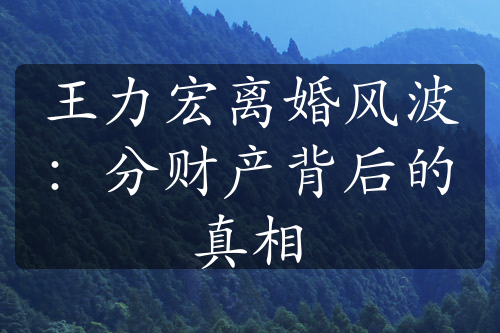 王力宏离婚风波：分财产背后的真相