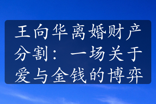 王向华离婚财产分割：一场关于爱与金钱的博弈